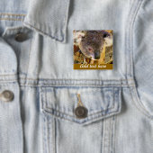 Koala Liebe_ Button (Beispiel)