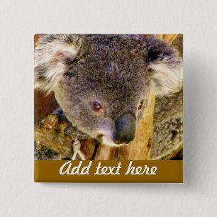Koala Liebe_ Button