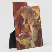 Koala Liebe Fotoplatte (Seite)