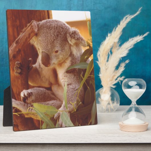 Koala Liebe Fotoplatte (Seite)
