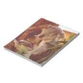 Koala Liebe Notizblock (Rotiert)