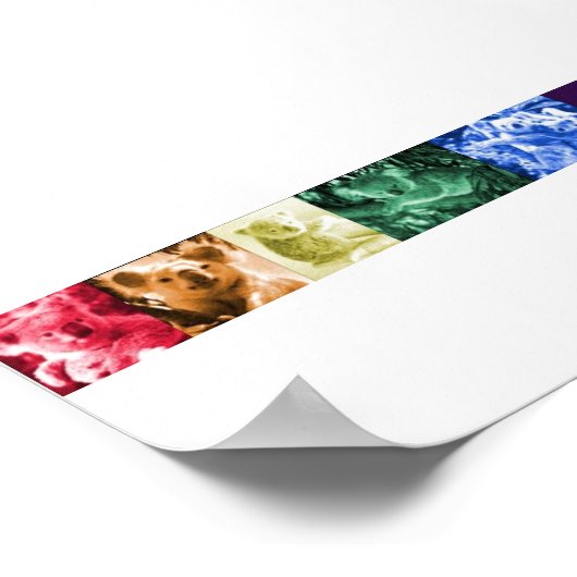 Koala Liebe Poster (Ecke)