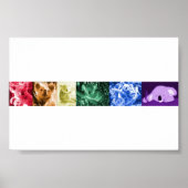 Koala Liebe Poster (Vorne)