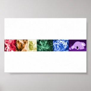 Koala Liebe Poster