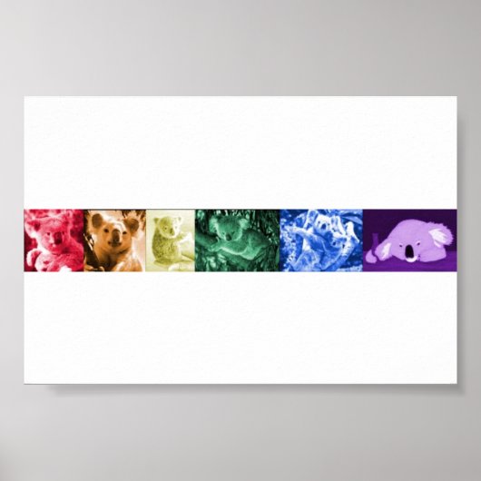 Koala Liebe Poster (Vorne)