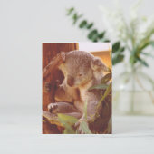 Koala Liebe Postkarte (Stehend Vorderseite)