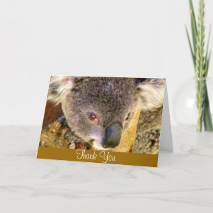 Koala Love_ Dankeskarte