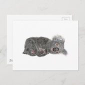 Koala Lying Down Postkarte (Vorne/Hinten)