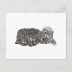 Koala Lying Down Postkarte