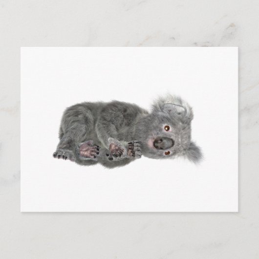 Koala Lying Down Postkarte (Vorderseite)