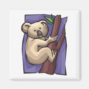 Koala Magnet