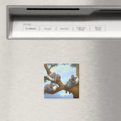 Koala Magnet (In Situ (Geschirrspüler))