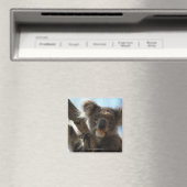 Koala Magnet (In Situ (Geschirrspüler))