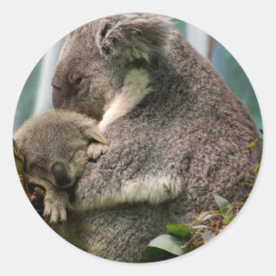 Koala-Mama und neues Baby Runder Aufkleber