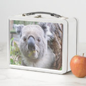 Koala Metall Brotdose (Beispiel)