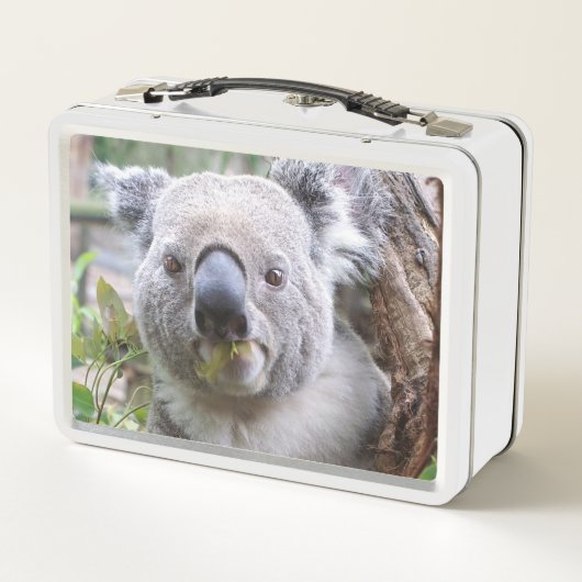 Koala Metall Brotdose (Rückseite)