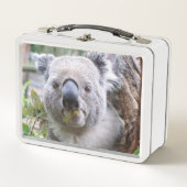 Koala Metall Brotdose (Vorderseite)