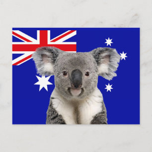 Koala mit australischem Flaggenhintergrund    Postkarte