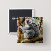 Koala mit Baby in einem Baum in Australien Button (Vorne & Hinten)