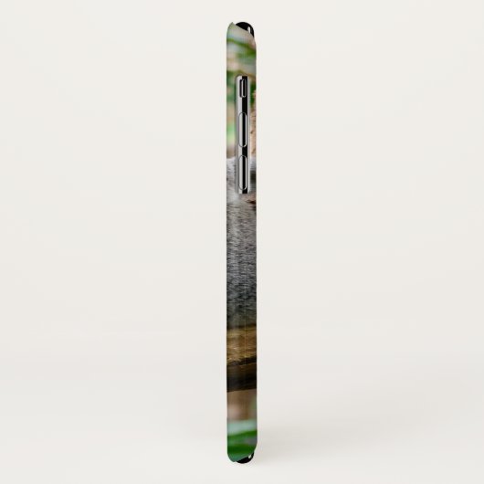 Koala mit Baby in einem Baum in Australien Case-Mate iPhone Hülle (Hinten/Links)