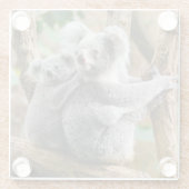 Koala mit Baby in einem Baum in Australien Glasuntersetzer (Rückseite)