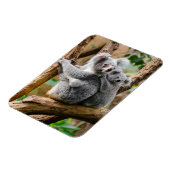 Koala mit Baby in einem Baum in Australien Magnet (Linke Seite)