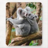 Koala mit Baby in einem Baum in Australien Mousepad (Vorne)