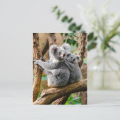 Koala mit Baby in einem Baum in Australien Postkarte (Stehend Vorderseite)