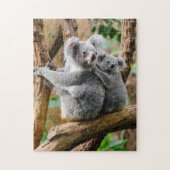 Koala mit Baby in einem Baum in Australien Puzzle (Vertikal)