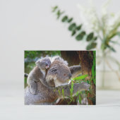Koala Mom Postkarte (Stehend Vorderseite)