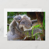 Koala Mom Postkarte (Vorne/Hinten)