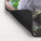 Koala Mousepad (Ecke)