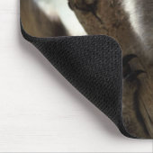 Koala Mousepad (Ecke)