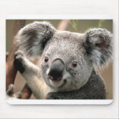 Koala Mousepad (Vorne)