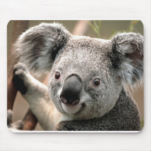 Koala Mousepad (Vorne)