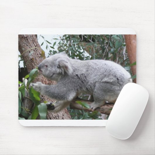 KOALA MOUSEPAD (Mit Mouse)