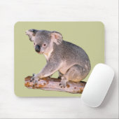 Koala Mousepadd Mousepad (Mit Mouse)