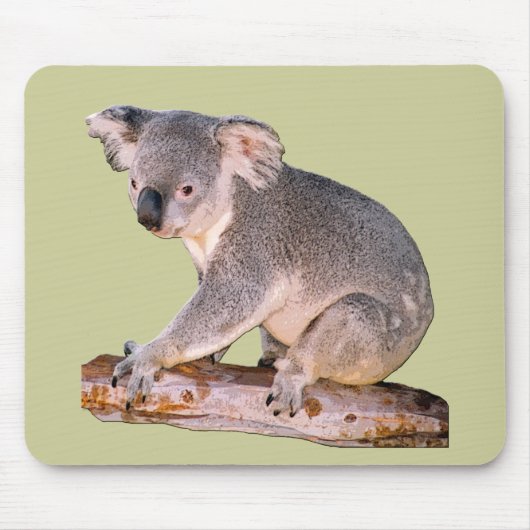 Koala Mousepadd Mousepad (Vorne)