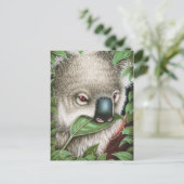 Koala Munching a leaf Postcard Postkarte (Stehend Vorderseite)