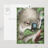 Koala Munching a leaf Postcard Postkarte (Vorne/Hinten)