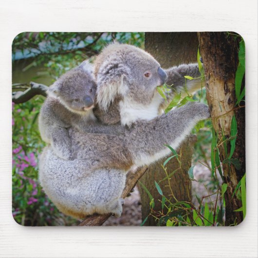 Koala Muta Sohn Mousepad (Vorne)