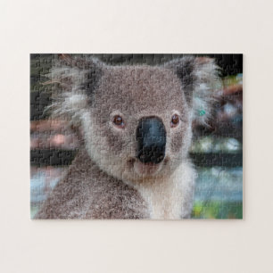 Koala Nah Up, Jigsaw Puzzle
