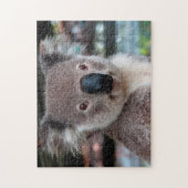 Koala Nah Up, Jigsaw Puzzle (Vertikal)