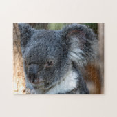 Koala Nah Up, Jigsaw Puzzle (Horizontal)