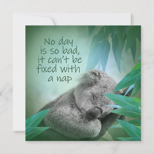 Koala Nickerchen Card Karte (Vorderseite)