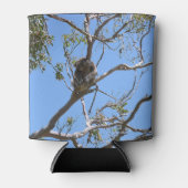 Koala Nickerchen Dosenkühler (Vorderseite)