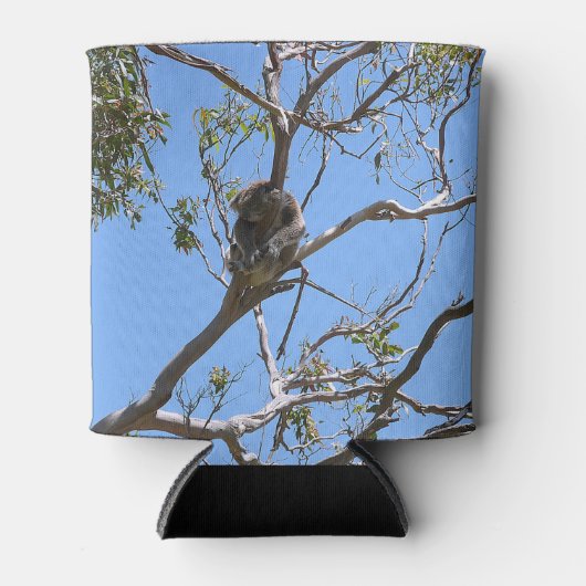 Koala Nickerchen Dosenkühler (Vorderseite)