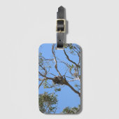 Koala Nickerchen Gepäckanhänger (Vorderseite Vertikal)