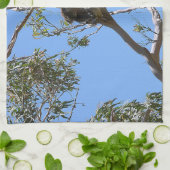 Koala Nickerchen Geschirrtuch (Gefaltet)