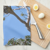 Koala Nickerchen Geschirrtuch (Viertel Falte)